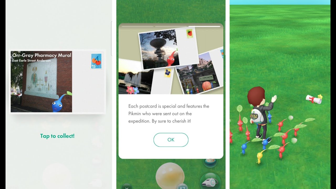 My First Postcard Found and Sent in Pikmin Bloom YouTube