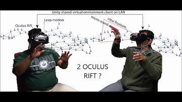 Immersive and Collaborative Visualisation of 3D networks: CAVE2 or Oculus Rift?