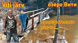видео: 471. Прогулка по южной Эстонии, часть 18. Тропа озера Viti, природный блудняк по душным зарослям. 4К картинка: 471. Прогулка по южной Эстонии, часть 18. Тропа озера Viti, природный блудняк по душным зарослям. 4К