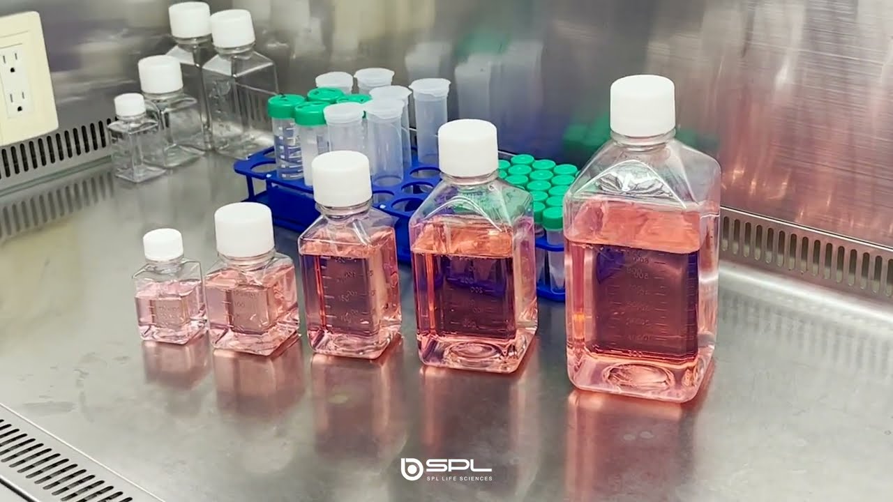 SPLメディアボトル 500ml/PET製/滅菌済|研究用機器|製品紹介｜理化学