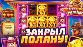 :     THE DOG HOUSE DOG OR ALIVE   6     ( )