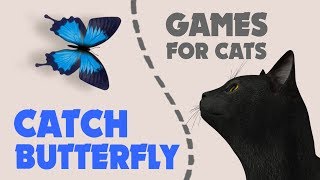CAT GAMES BUTTERFLY on the SCREEN ❤ screenshot 5