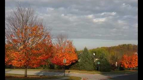 Tiny Bouncing Objects ~ Jason Ward Studios New Age Music Video Lively Perky Upbeat Music Storm