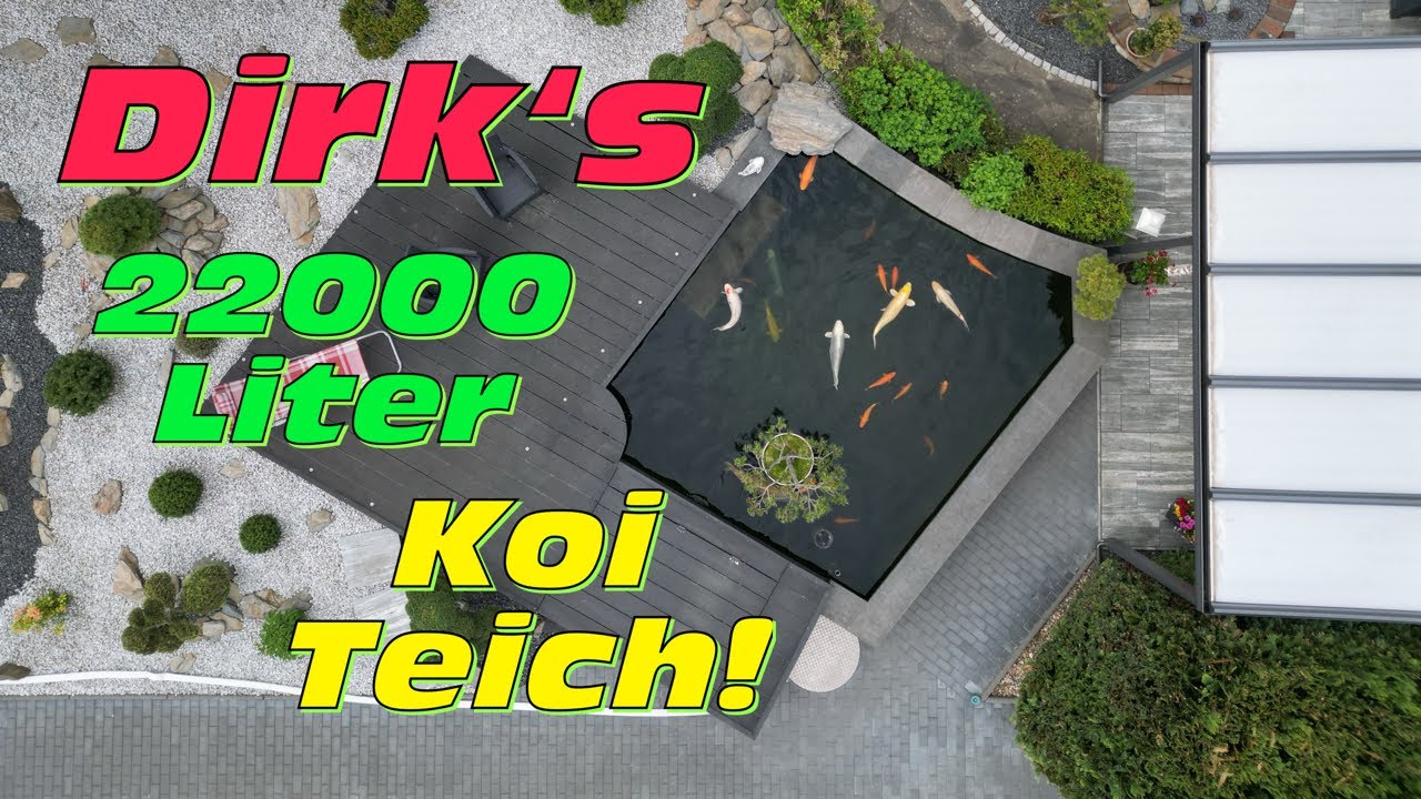 Dirks 5 Jahre alter Koi Teich mit Bonsai Insel und Japan Garten! YouTube