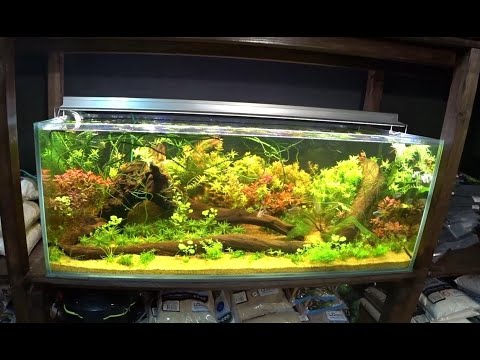 Обзор оборудования аквариумов из черной комнаты