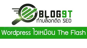 ตัวอย่าง Page Speed 100/100 ของ Wordpress