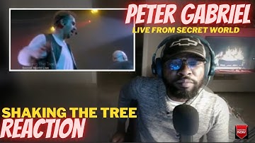 PETER GABRIEL - SHAKING THE TREE [SECRET WORLD LIVE]