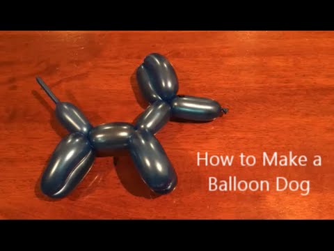 Video: Cum Să Faci Un Câine Balon