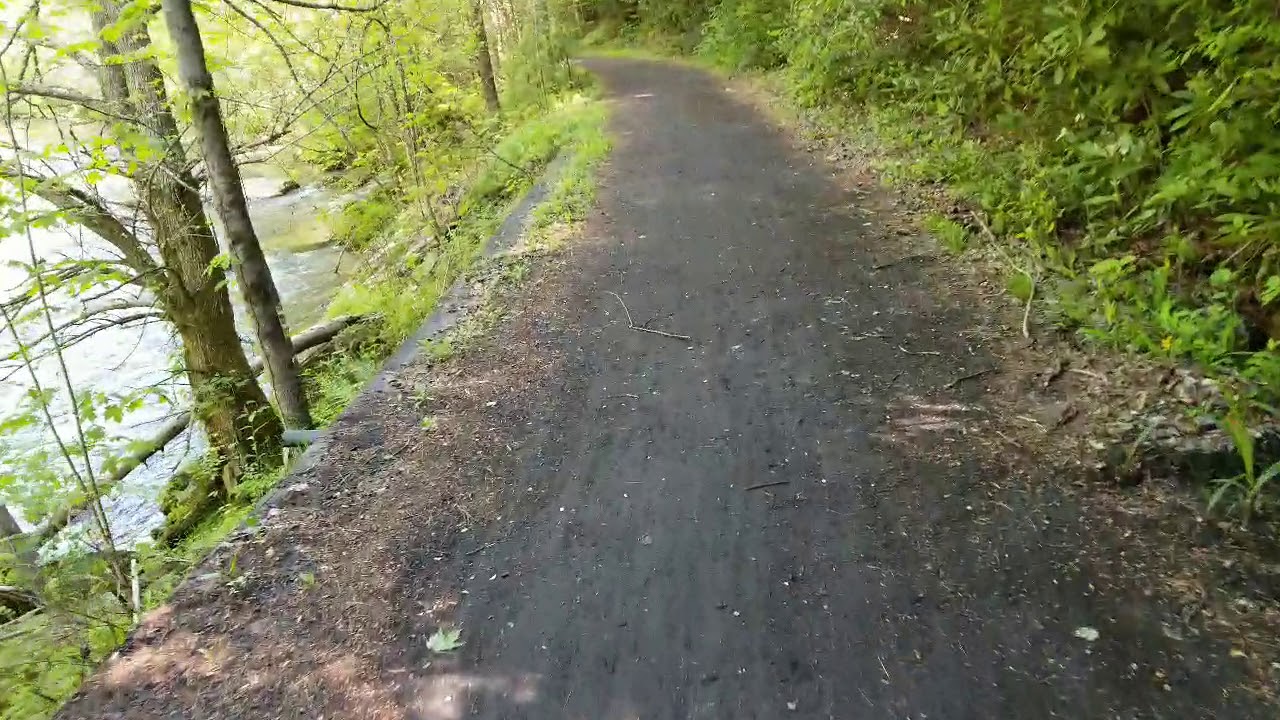 upload image Paw's Day 49 Mile 486.6 AT 2019 Thru-hike.