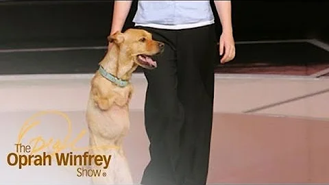 Things You Didn’t Know a Dog Could Do on Two Legs | The Oprah Winfrey Show | Oprah Winfrey Network