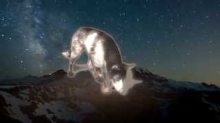 Jack Dstein - 100Mph Libber