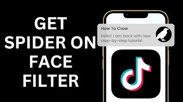 How to Get The Spider on Face Filter | How to do the viral spider filter prank on TikTok 2024