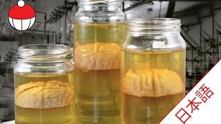 瓶に入ったホルマリン漬けの脳みそ 脳みそゼリーの作り方 カップケーキ中毒のチュートリアル Jello Brain Jars Youtube
