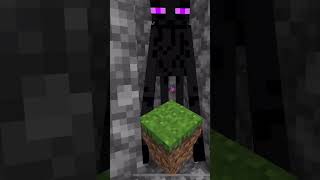 Random Enderman teleport spots | Minecraft skit