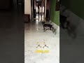 🏃🏃🏃