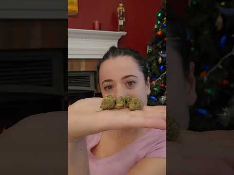 ASMR Relaxation with PremiumJane.com #asmr