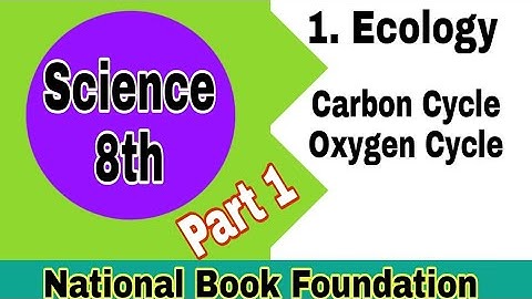 Class 8 Science Chapter 1 | Ecology | oxygen cycle | carbon cycle | explanation | ilmi darasgah
