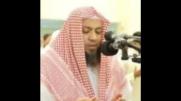 سورة مريم | أحمد السعيد مندور