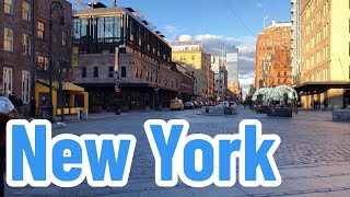 NY historic Greenwich Village tour vibrant bohemian atmosphere & cultural significance rich history