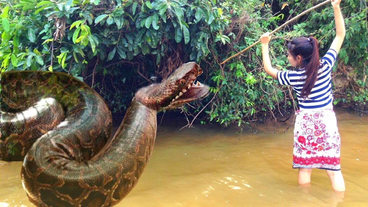 wow brave girl catch snake using simple trap incredible girl