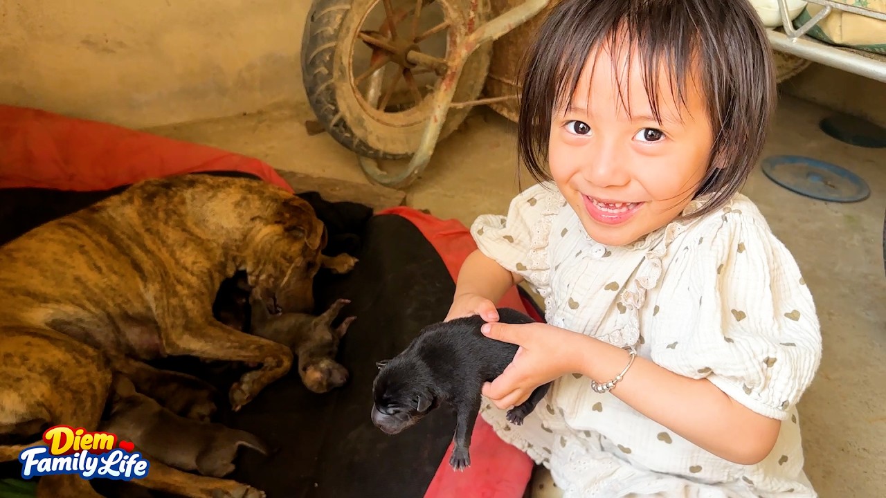 Diem was surprised when she first saw the newborn puppies