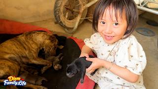 Download Lagu Diem was surprised when she first saw the newborn puppies MP3