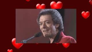 The Hollies  Heartbeat