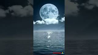 🌝 moon lake neture #wallpaper hot video HD 🌝