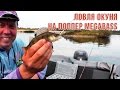 Ловля окуня на поппер Megabass