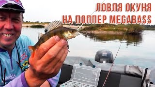 Ловля окуня на поппер Megabass