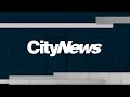 Watch citynews toronto the winner of best local newscast at the 2020 canadian screen awards