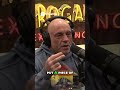 Progressive Politics &amp; Street Camping. #joerogan #podcast #shorts