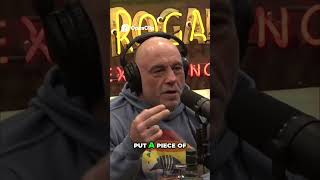 Progressive Politics &amp; Street Camping. #joerogan #podcast #shorts