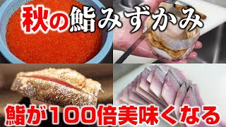 江戸前の王道が際立つ【秋の鮨みずかみ前編】鮨が100倍美味くなる動画