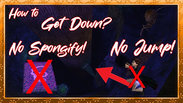 Is it possible to beat Harry Potter 2 (PC) WITHOUT Jumping AND using Spongify tiles? - Challenge Run