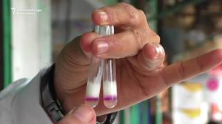 Pakistani Vendors Arrested For Selling Milk Tainted With Formaldehyde