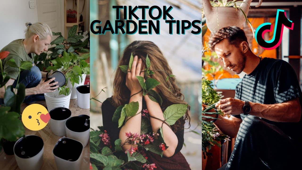 11 MINUTES PLANT TIKTOK GARDEN TIPS YouTube