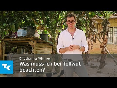 Was muss ich bei Tollwut beachten? | Dr. Johannes Wimmer