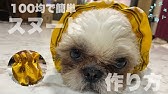 3分でわかる 犬用クールネックの作り方 Youtube 3分でわかる 犬用クールネックの作り方 Youtube