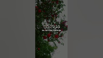 سورة الإخلاص | سعد الغامدي