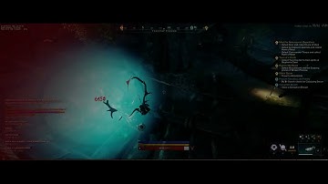 New World - Invisible enemies bug