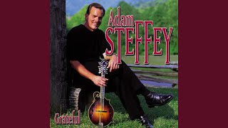 Video thumbnail of "Adam Steffey - Come On Down"