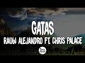 GATAS Rauw Alejandro Ft Chris Palace Letra Lyrics mp3