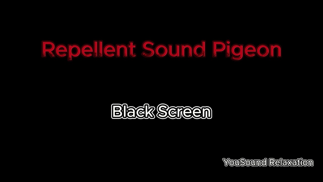 8 Hours of Ultrasonic Pigeon Repellent | High-Frequency Sound | Black Screen