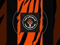 Bengals secondary coach is HYPED #cincinnatibengals