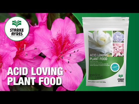 Starke Ayres Acid Loving Plant Food with Tanya Visser
