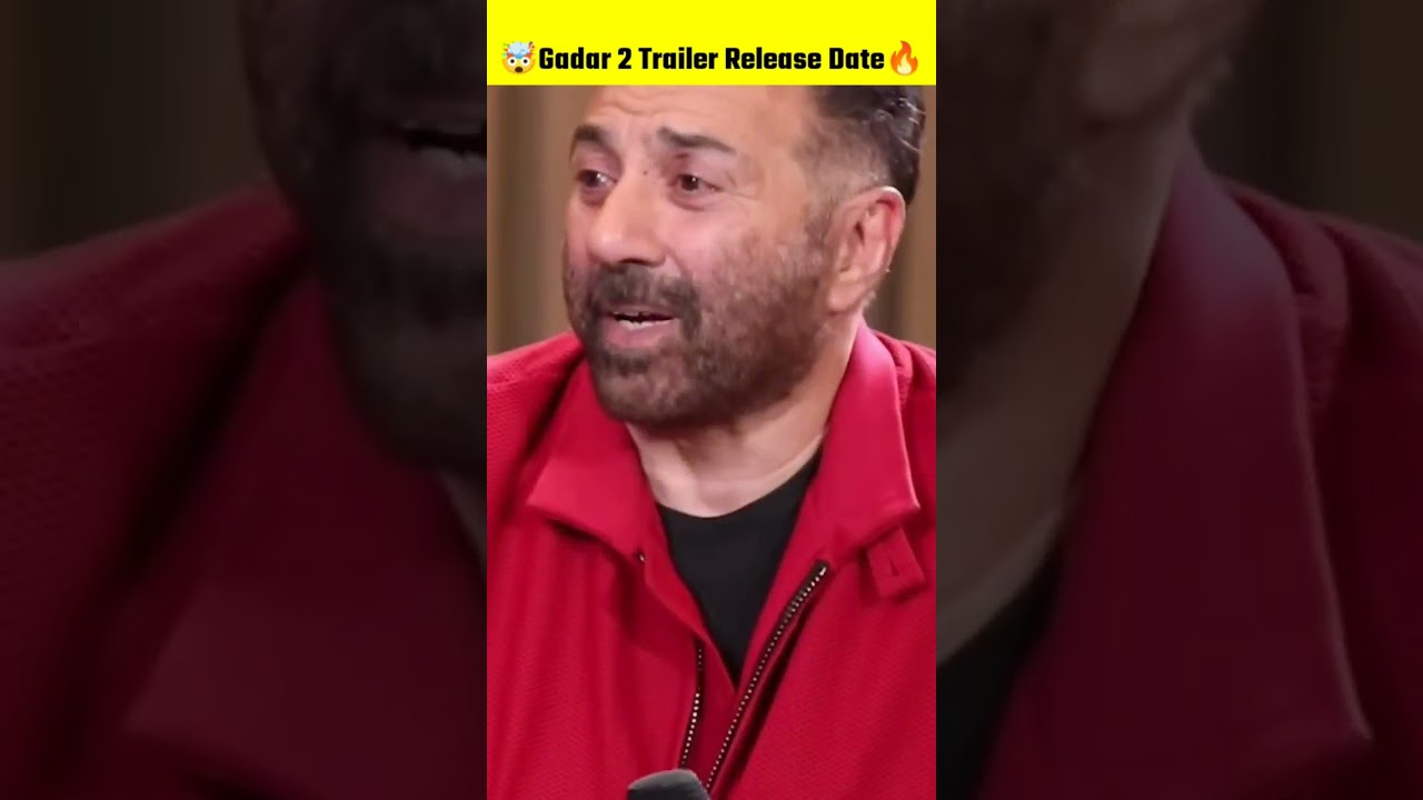 Gadar 2 Box Office Collection Update 🤯🔥| Sunny Deol Amisha Patel Gadar 2 |