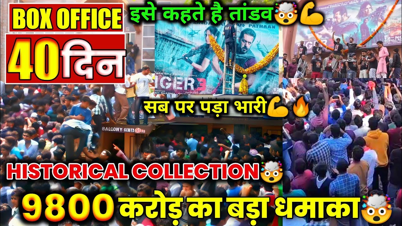 Tiger3 Day 38 Doing Shocking 🤯 Collection | Tiger3 Indian Box Office Collection | Tiger3 Collection