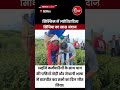सिक्किम में ज्योतिरादित्य सिंधिया का खास अंदाज | चाय बागान में तोड़ी पत्तियाँ