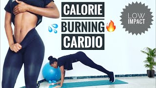 FAT BURNING CARDIO WORKOUT| How to lose weight fast|Full body Beginner friendly~Janekate Fitness